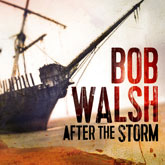 BobWalshAfterTheStorm